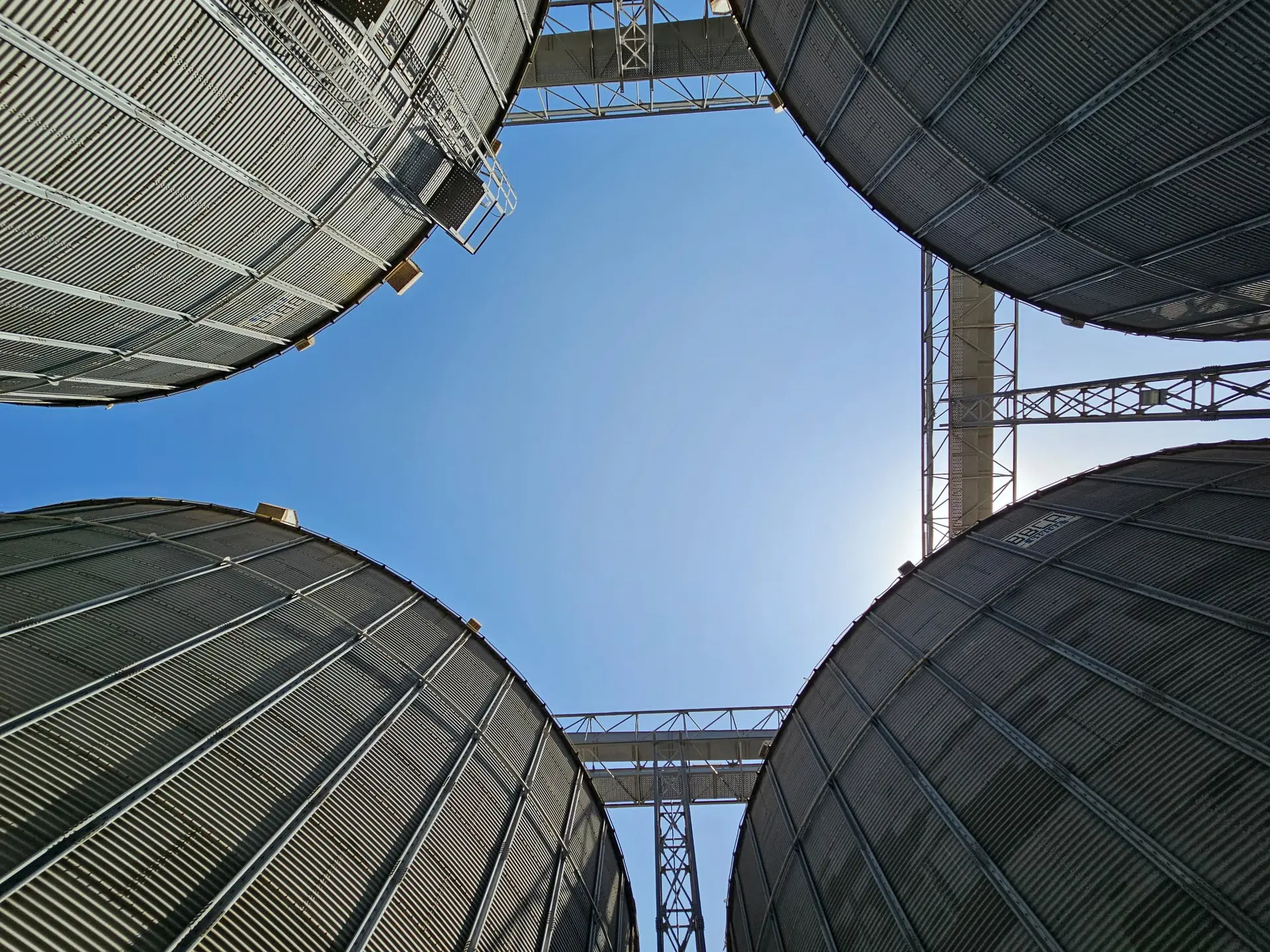 العربية هي الأولى