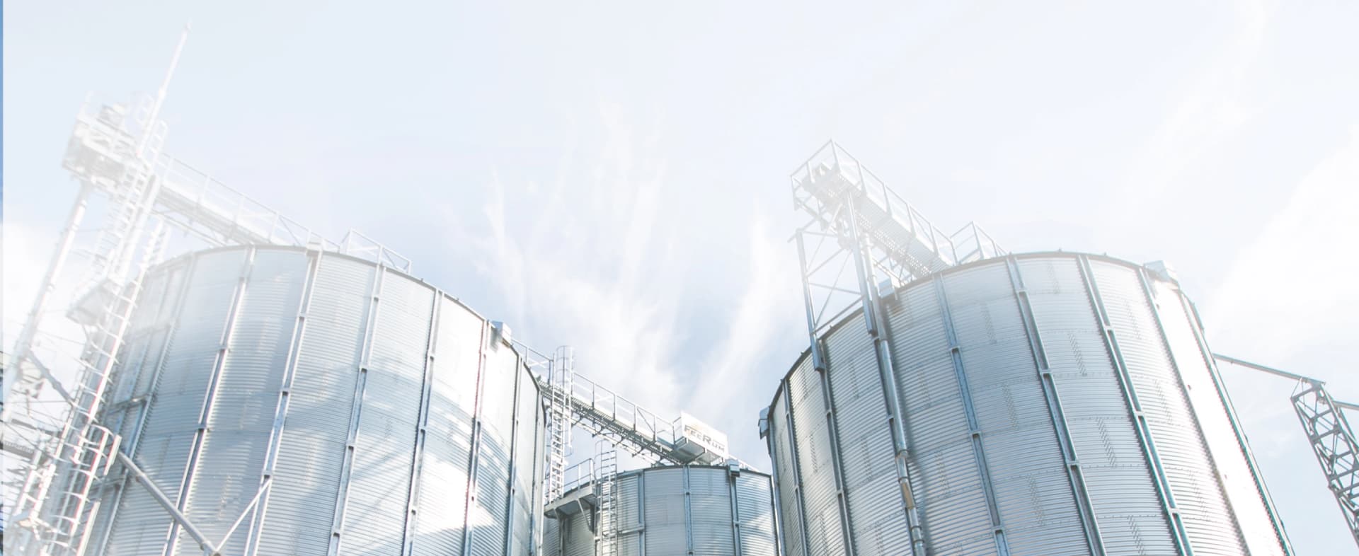 العربية هي الأولى